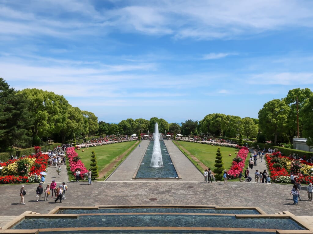 秋のお出かけスポット 須磨離宮公園の秋バラと紅葉を満喫 ルアンマガジン